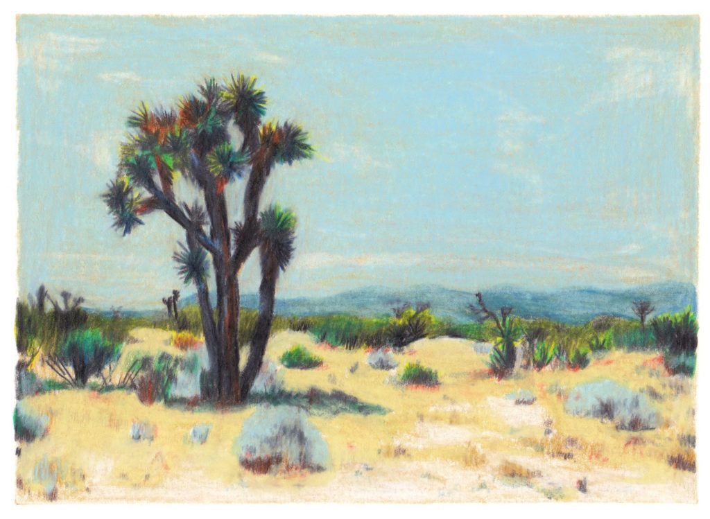 désert californie sable Clément Thoby