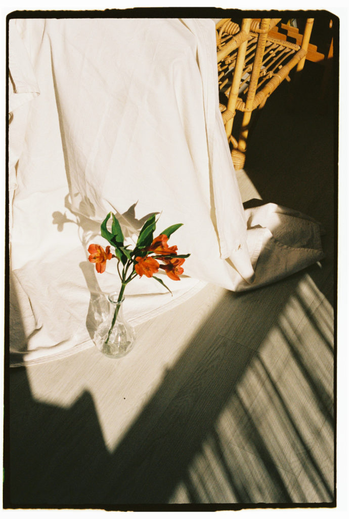 tige de fleur rouge devant un drap blanc avec un jeu d'ombre